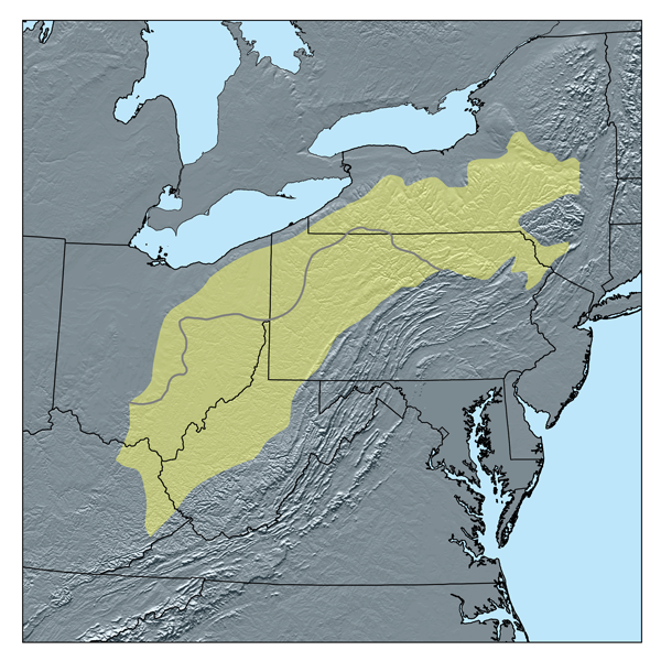 Allegheny Plateau Map 