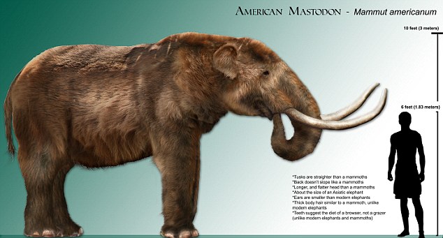 Mastodon and Man